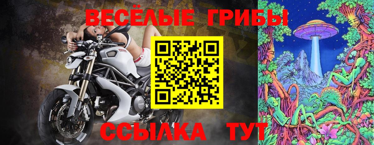 Псилоцибиновые грибы GOLDEN TEACHER  Псилоцибиновые грибы мухоморы  Астрахань  где продают   Вход с VPN 
